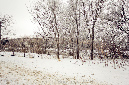 hoarfrost3