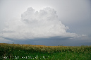 061609_neb2