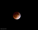 041514_pic2