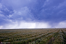 060114_pic5