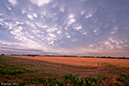 060114_pic3