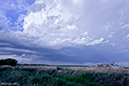 060414_pic2